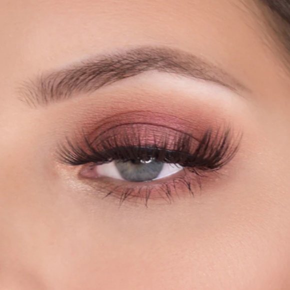 NEW TheBalm And The Beautiful Eyeshadow Palette Episode 1 - Picture 3 of 6